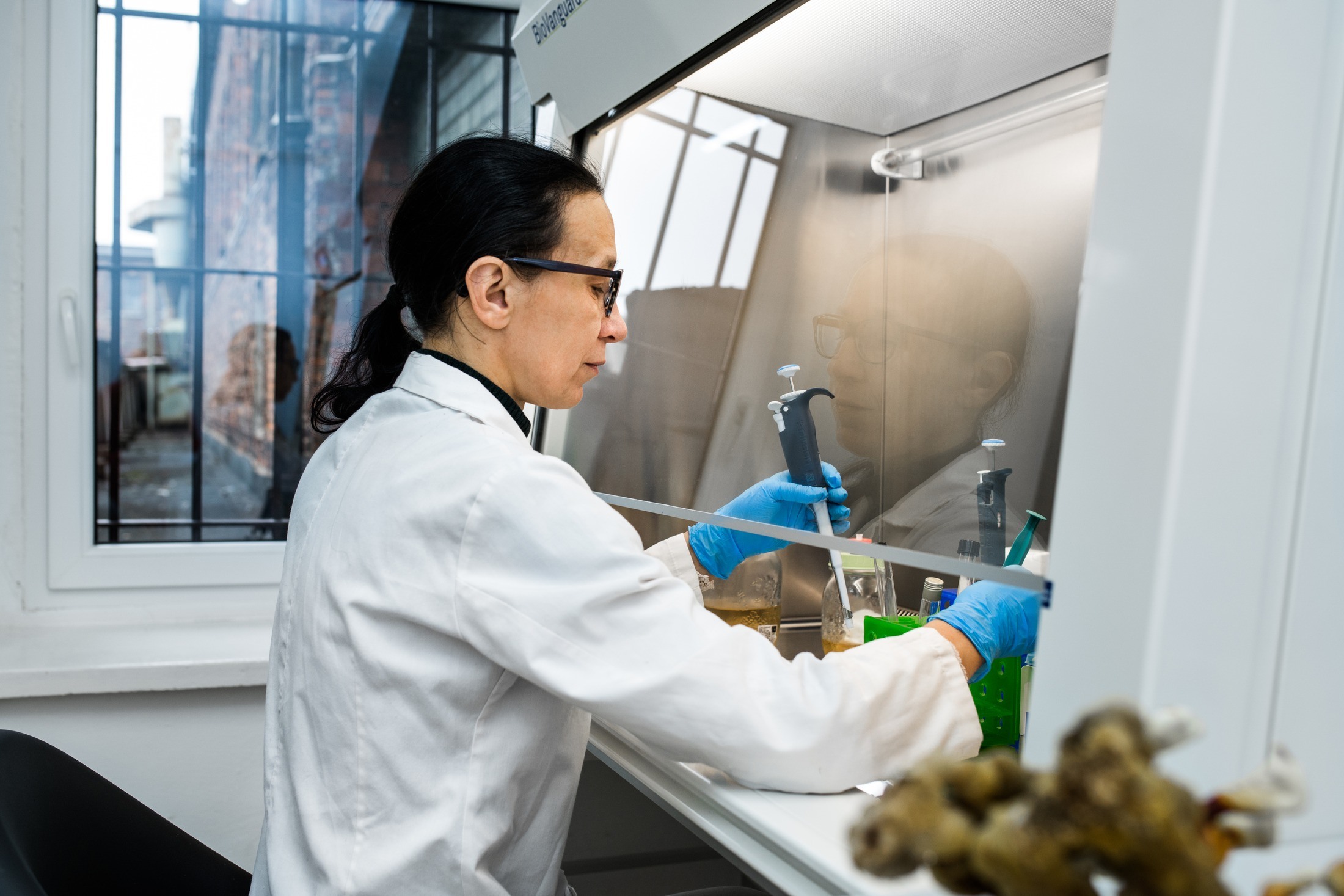 Webinar „Mykoterapia – moc grzybów w codziennej profilaktyce i terapii”.