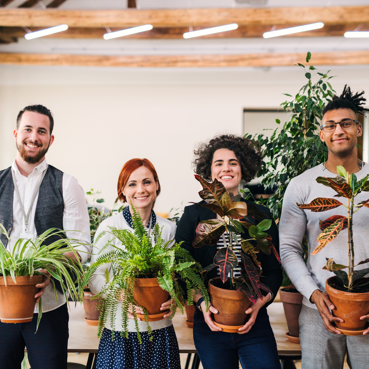 Natura w biurze: 9 sprawdzonych sposobów na lepsze samopoczucie i efektywność w pracy