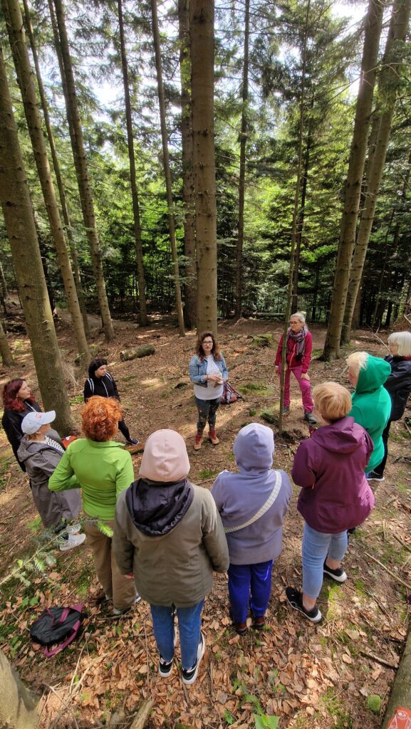 Zdjęcie grupy doświadczającej kąpieli leśnej.