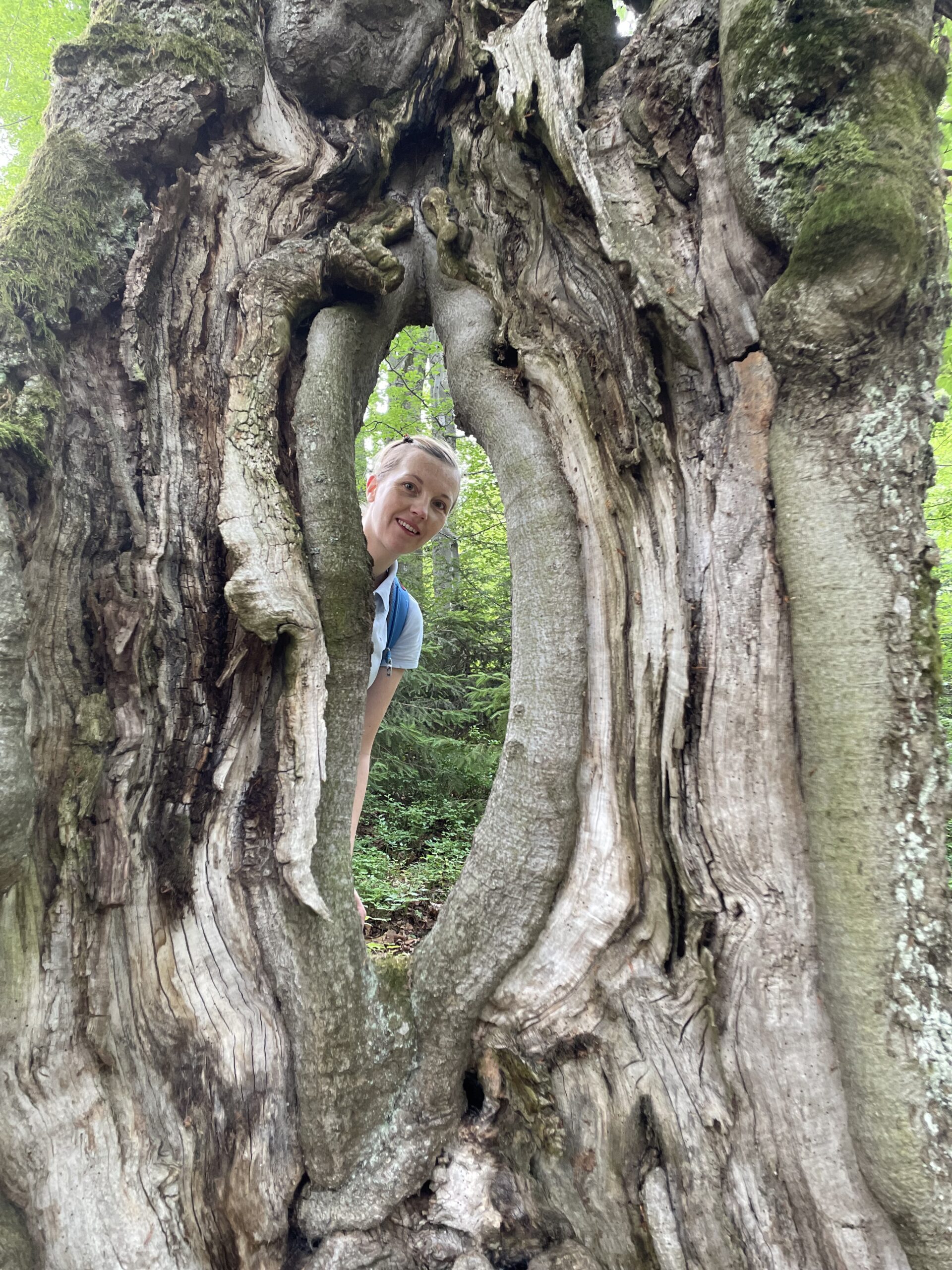 Aleksandra Chlebny-Harabasz