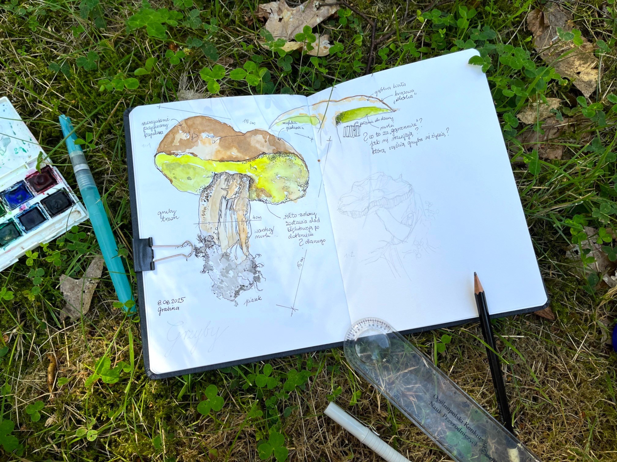 Nature Journaling i Kąpiele leśne