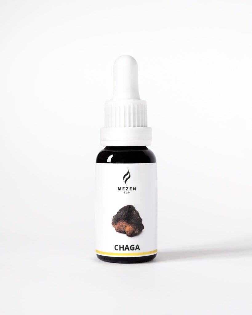 Chaga (Błyskoporek podkorowy) ekstrakt wsparcie odporności i antyoksydacja